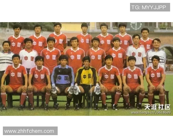 广州排球队的崛起之路：钻石联赛背后的成长与奋斗故事