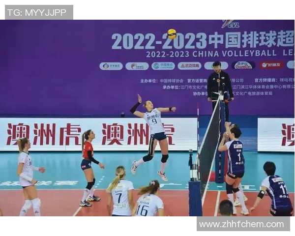 深圳排球队在锦标赛中的技术表现分析与总结