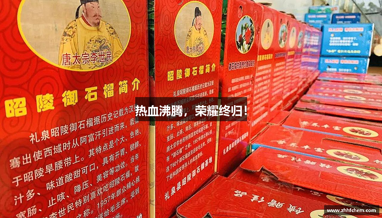 热血沸腾，荣耀终归！